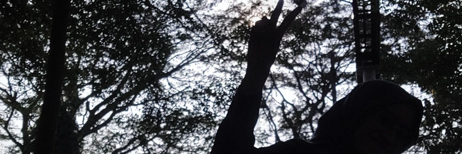 aryunani's profile banner image