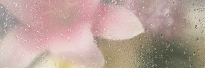 ☆'s banner