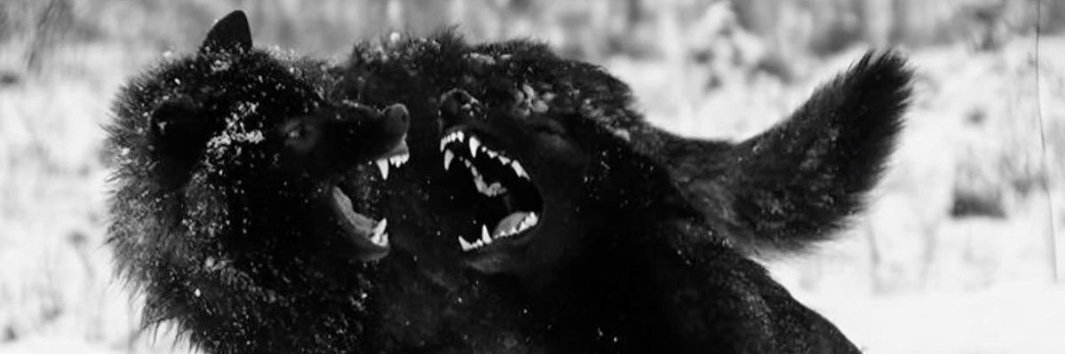 str4ymvtt's profile banner image