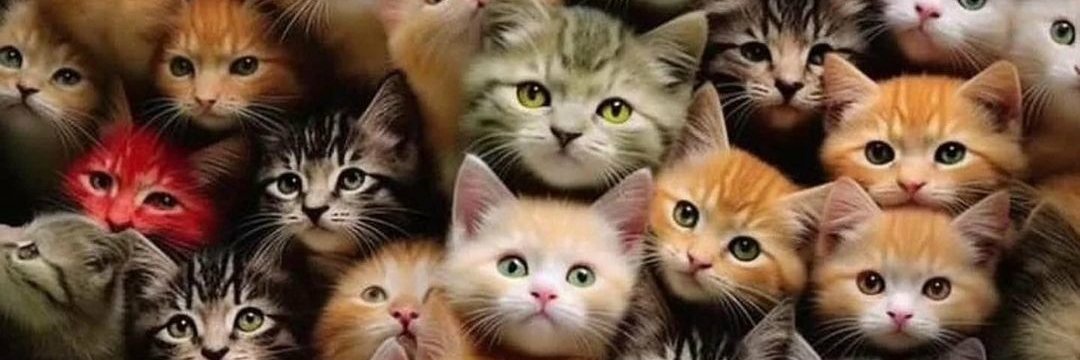 ✨Bünyamin ✨ (Önce insan) banner