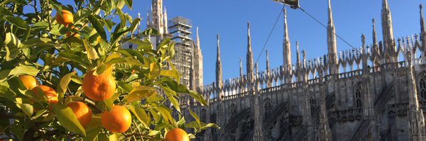fabiobenati Profile Banner