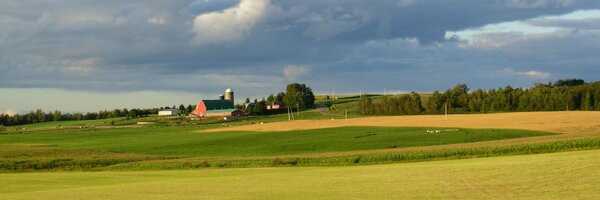 ibrault Profile Banner