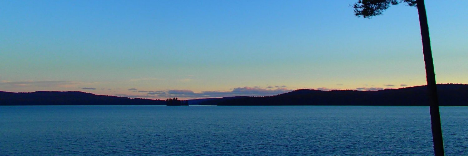 Christine Beevis Trickett (she/her) banner