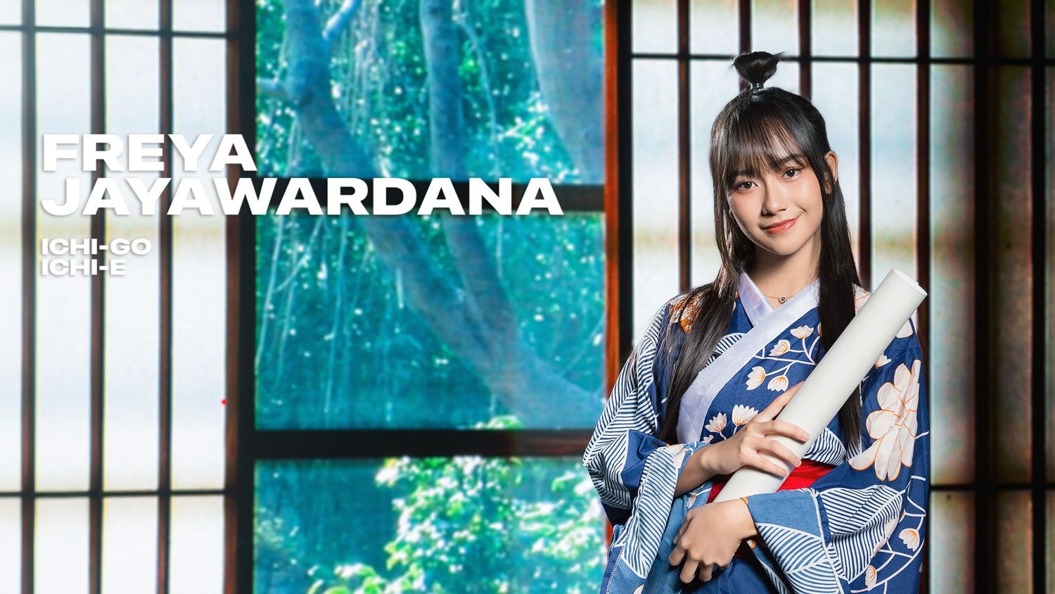 NOXIN banner