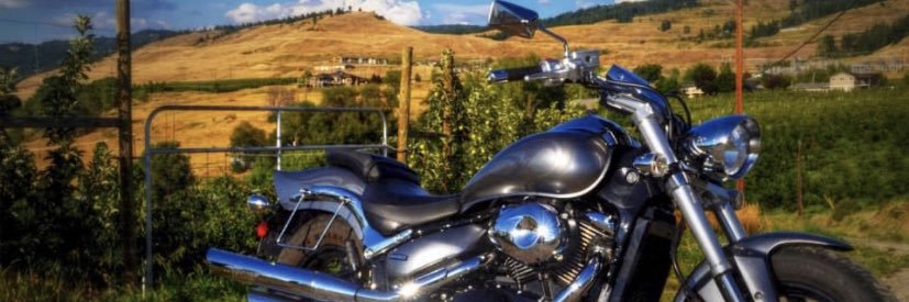 Tick Tracy ( $CTO ) banner