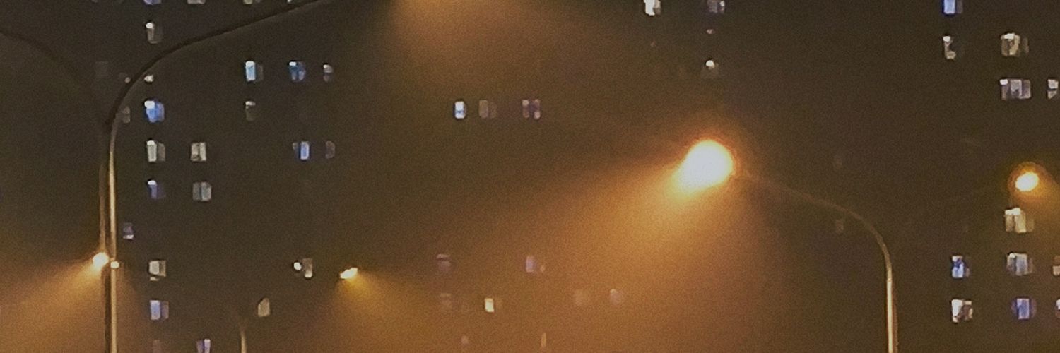 zzzz1 banner