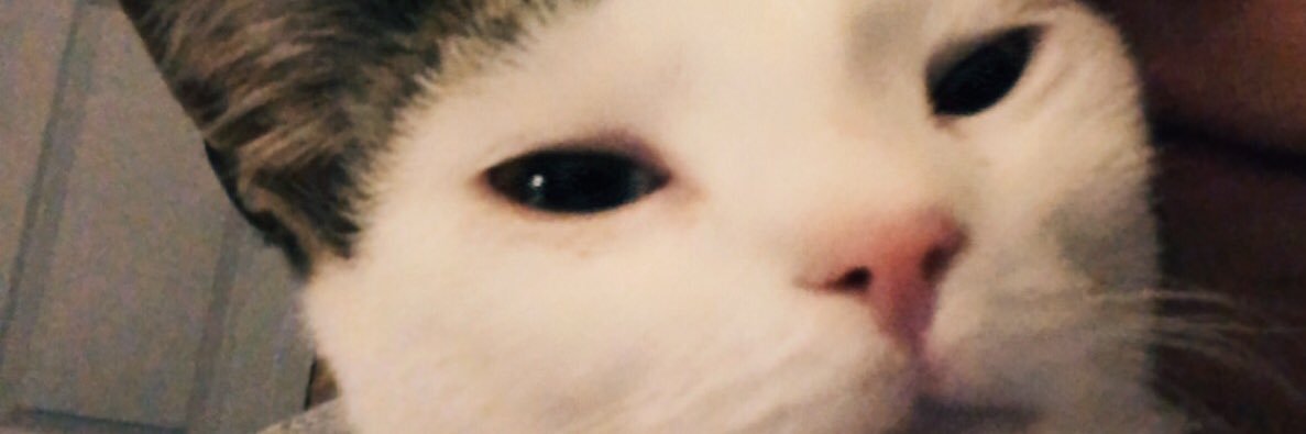 lexiajs_'s profile banner image