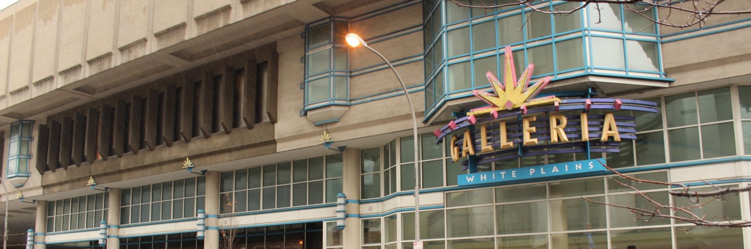 Beth Engemoen banner