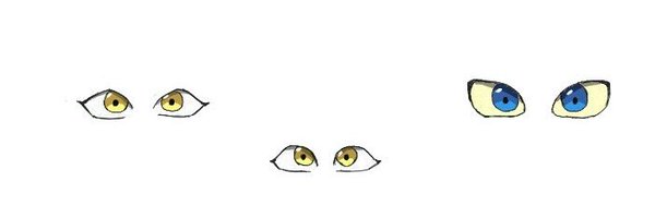 hooiittt Profile Banner