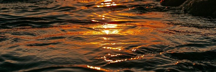 🌊파도🌊 banner