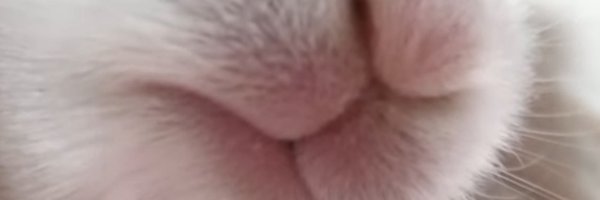 98ool345 Profile Banner