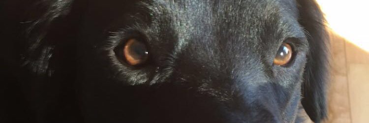 thcurls's profile banner image