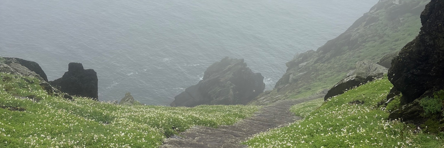 Scott banner