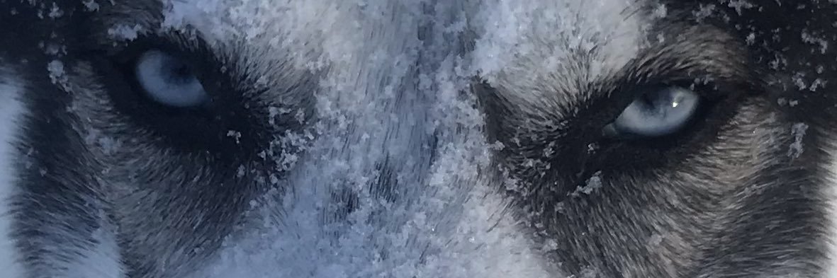 abby_peterson's profile banner image
