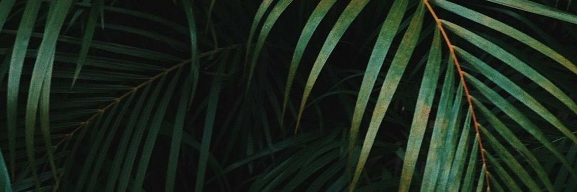 solciandri's profile banner image