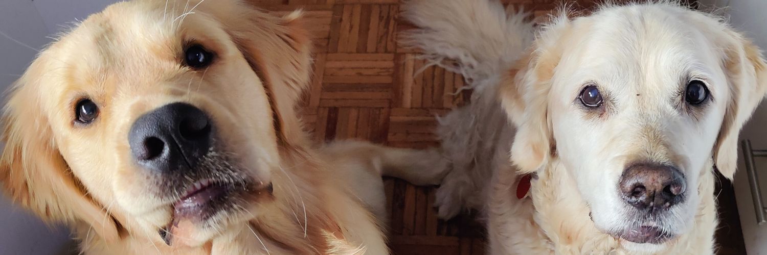 lyssa__project's profile banner image