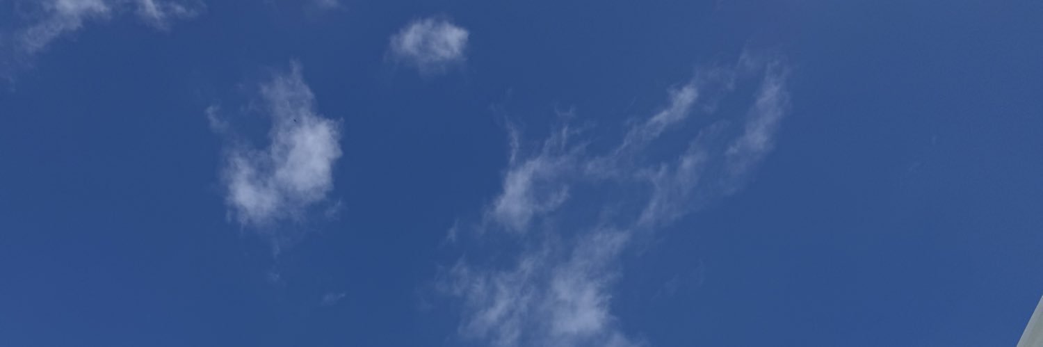 Thomas polley banner