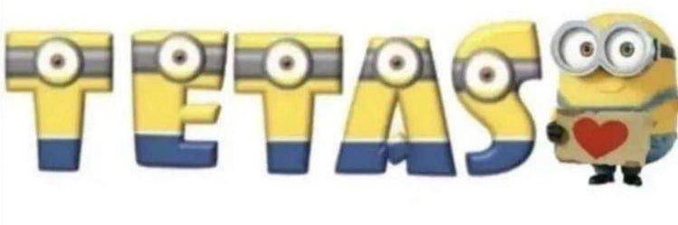 CeStiN banner