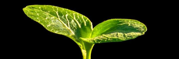 brightjose23322's profile banner image