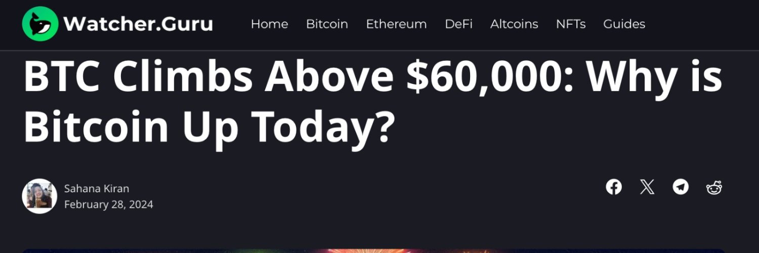 Ibitsol banner