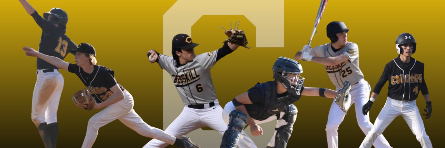 Cresskill Cougars Baseball banner