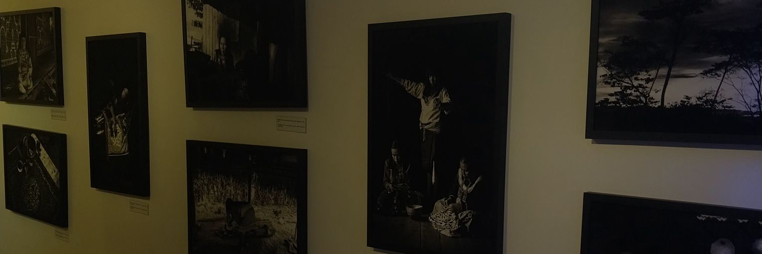 Davi brito manauara banner