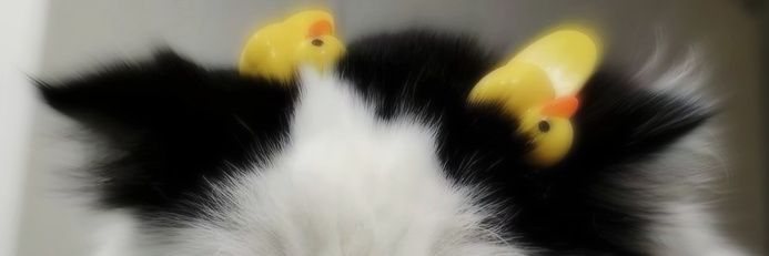 𝚠𝚎𝚛𝚊 banner