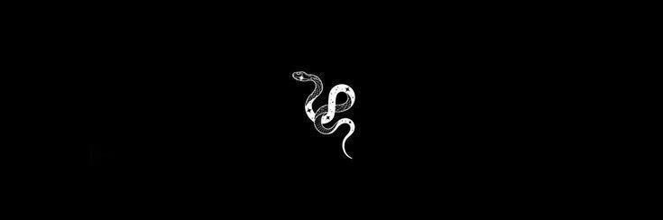birkinsoild's profile banner image