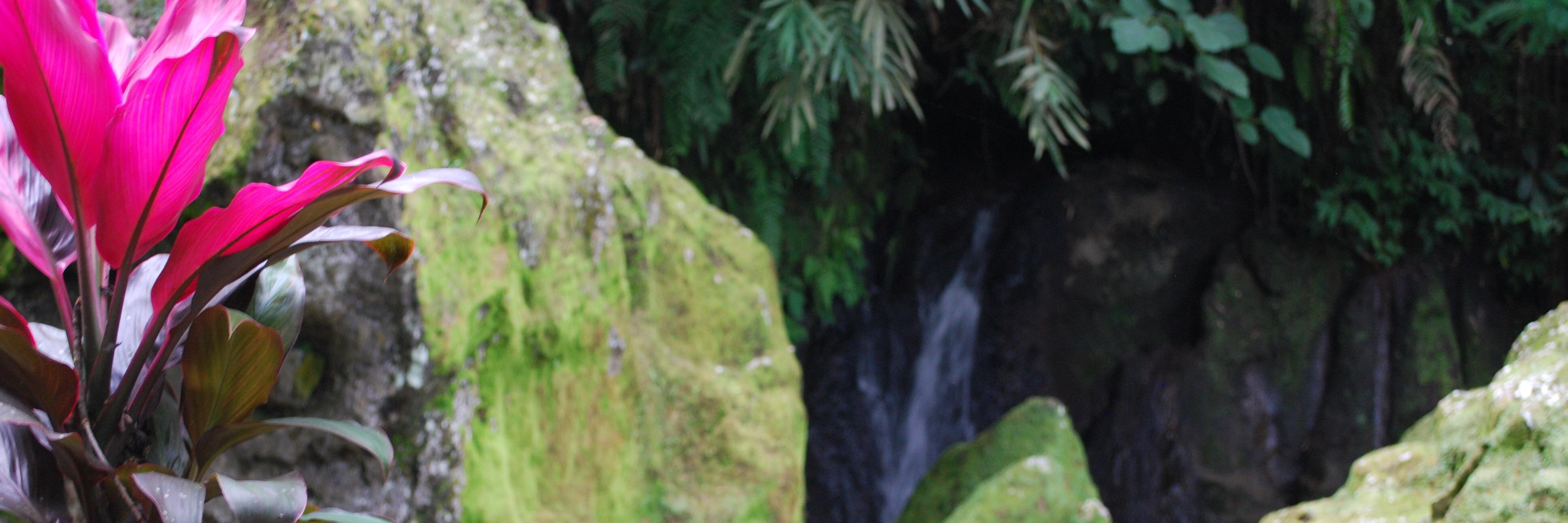 Hawkgrrrl banner