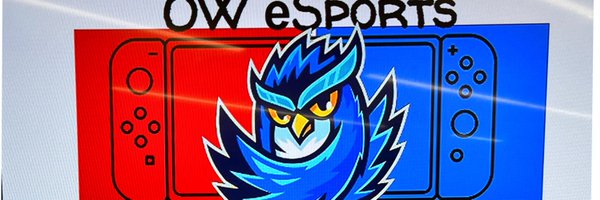OW eSports Profile Banner