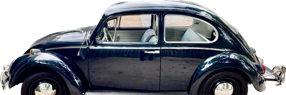 Mark C. Zweig banner