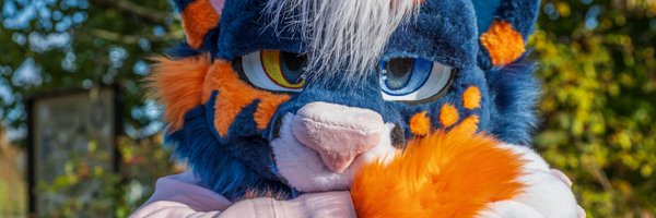 luffilinks Profile Banner