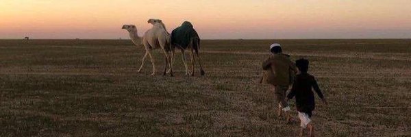 hamadO_9 Profile Banner