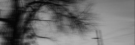 stoic banner