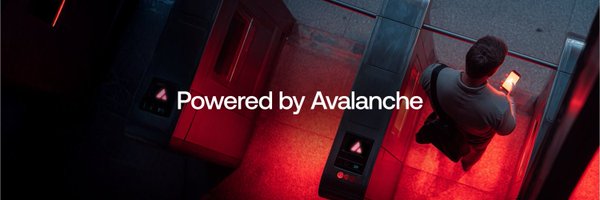 AvaxTeam1 Profile Banner