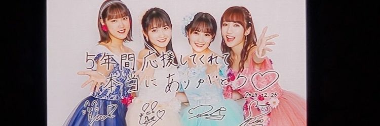 shiba274's profile banner image