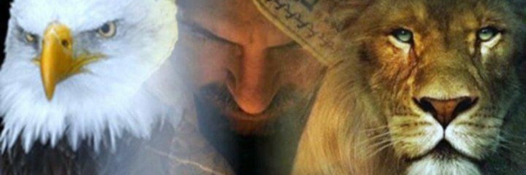 🕎🕊🦋𝒩𝓔𝒱𝓔 🦁𝒩𝓔𝒱𝓔🦋🕊✝️נווין👑🕯's banner