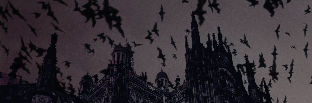 𝕭𝖑𝖔𝖔 🥀's banner