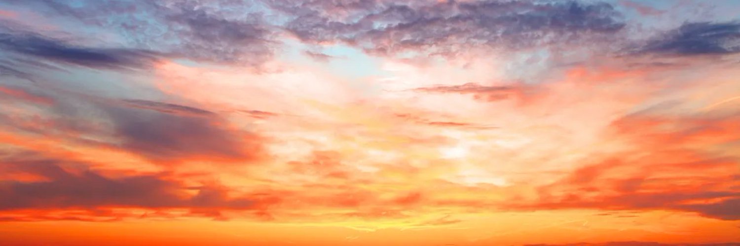 ScheffleraTW's profile banner image
