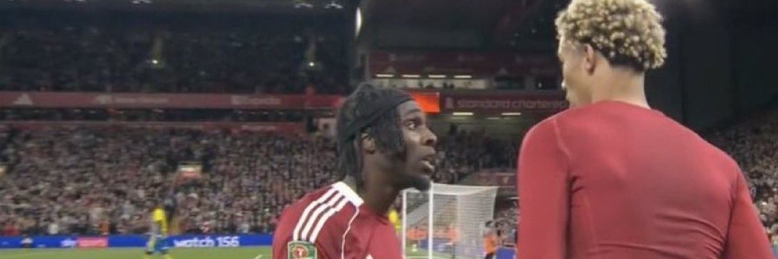 Miszel #𝕃𝕒𝕟𝕕𝕠𝕊ℤℕ banner