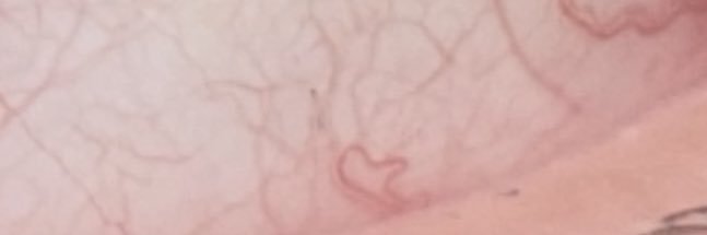 دریــا🌊 banner