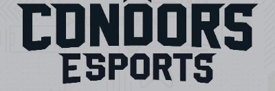 CoachHerd banner