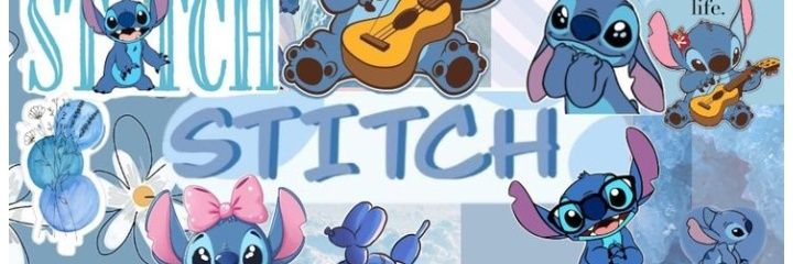 Erasmus Desired banner