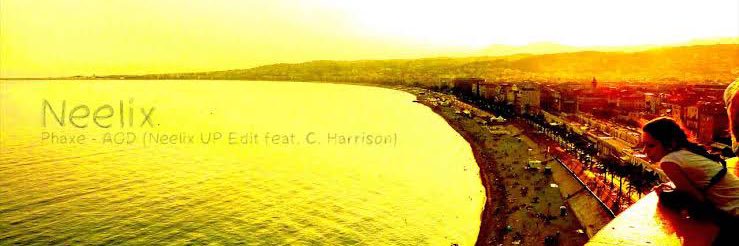 p banner