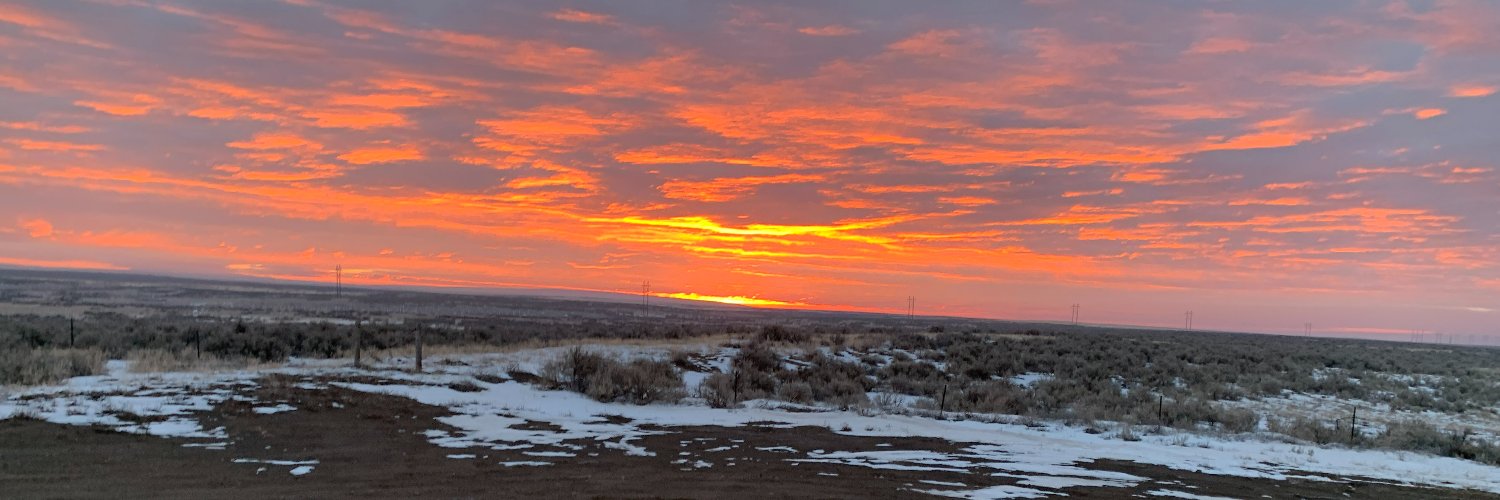 South Valley Press banner