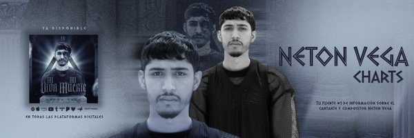 NetonVegaCharts Profile Banner