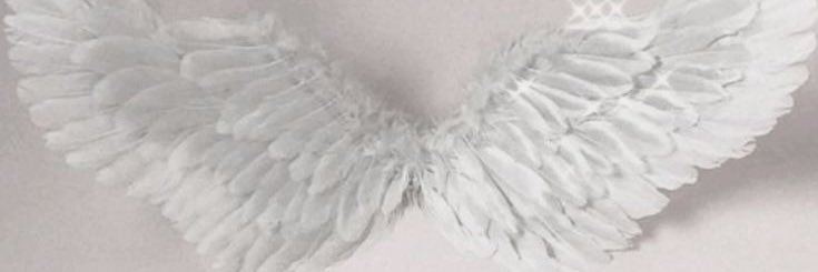 huniestudies's profile banner image