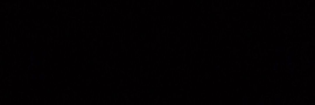 Tyler Durden banner