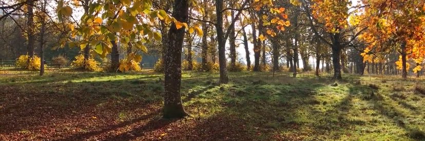 Colin T. McDonough banner