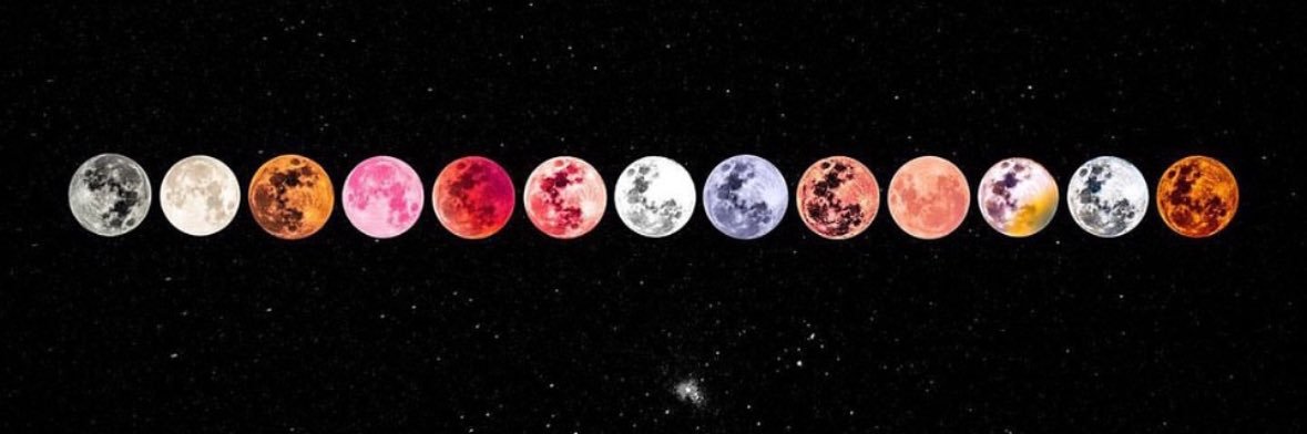 ✨Lidia Rose✨ banner